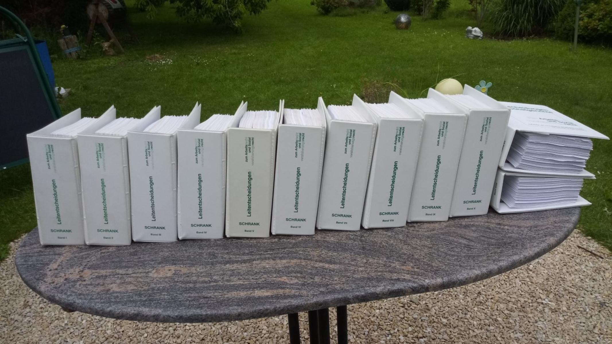 Leitentscheidungen der Höchstgerichte zum Arbeitsrecht und Sozialversicherungsrecht Schrank LexisNexis, € 99,- (8130 Frohnleiten)